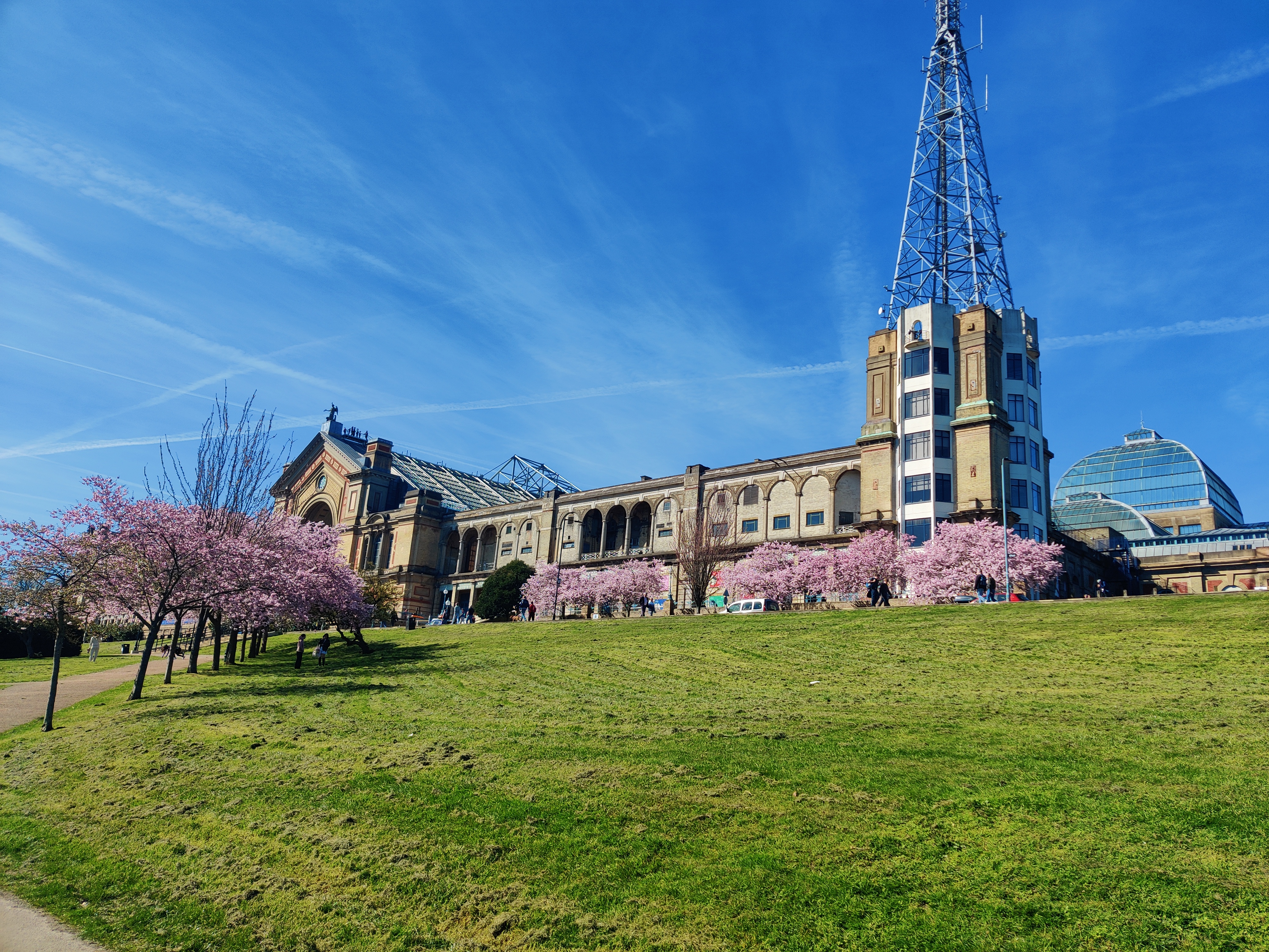Ally Pally in full bloom - March 21